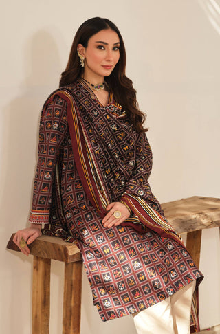 Dastaan (Ancient Tale) Kurta