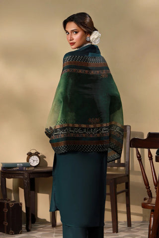 Jashn (Celebration of the Soil) Scarf