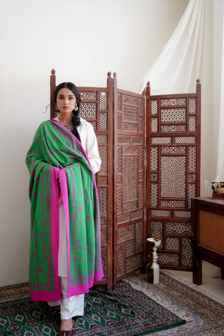 Bol (Speak Your Truth) - Green & Magenta Odhni