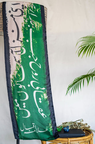 Shopmanto, wear manto, manto clothing brand, manto pakistan, manto stole, manto scarf, manto scarves and stole, ladies scarves, black and green stole, azaadi stole