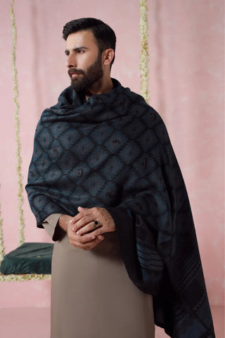 Parwana (Yearner) Weaved Shawl - Teal