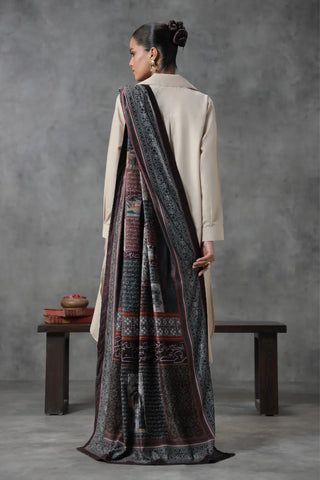 Guzarish (Request) Velvet Shawl